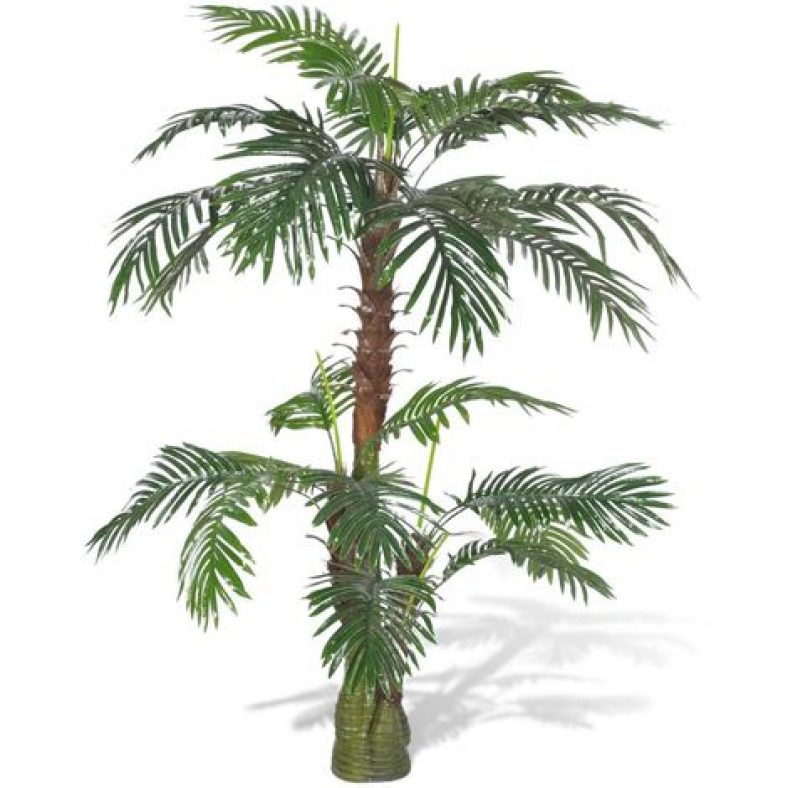 Macetas palmeras